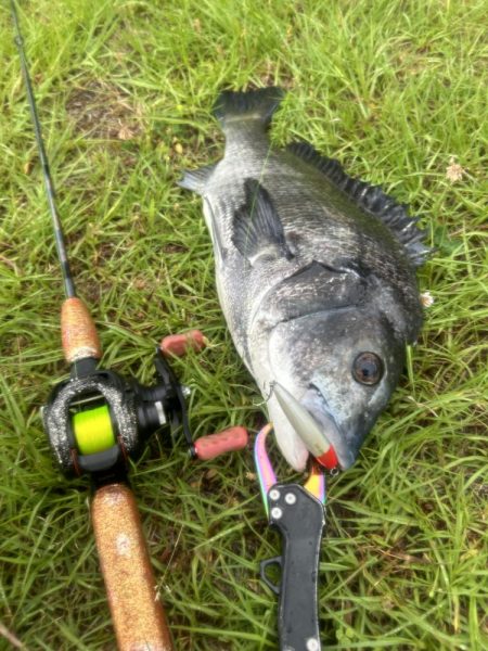 バスタックルでハクパターン遊び