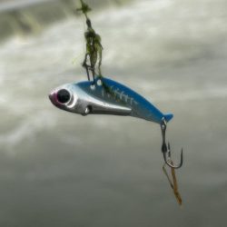 梅雨の増水濁りでリフレッシュ!