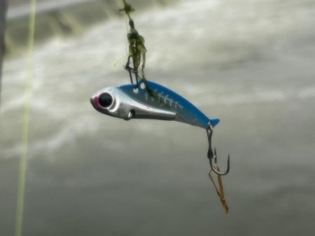 梅雨の増水濁りでリフレッシュ!