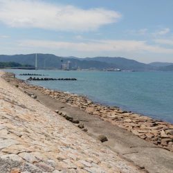 片男波（3回目）で釣果が上向き