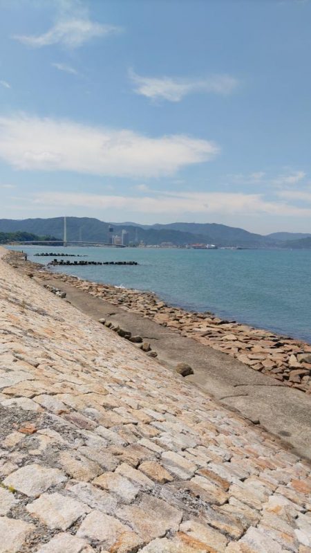 片男波（3回目）で釣果が上向き