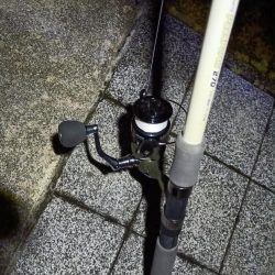 2024/06/08 大阪河川釣行