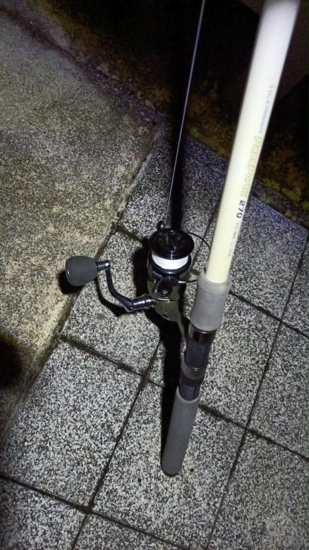 2024/06/08 大阪河川釣行