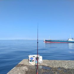 播磨新島のキス