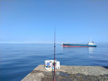 播磨新島のキス