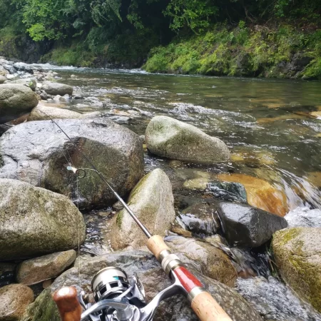 大荒れ続きで雨あとに期待