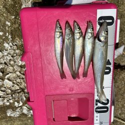 キス&フラット求めて