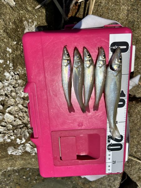 キス&フラット求めて