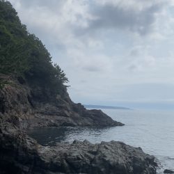 アオリイカとケンサキ