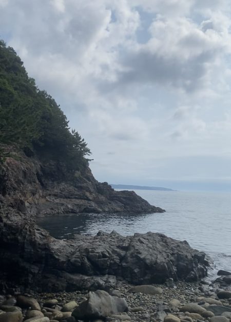 アオリイカとケンサキ