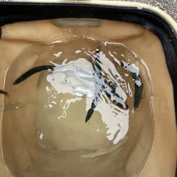 まだまだサビキには厳しい