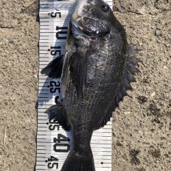 78匹‼️自己新