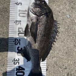 イチノ兄弟、釣果!