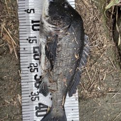 イチノ兄弟、釣果!