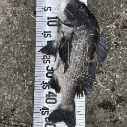 イチノ兄弟、釣果！