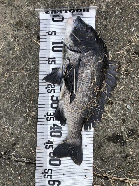 イチノ兄弟、釣果！