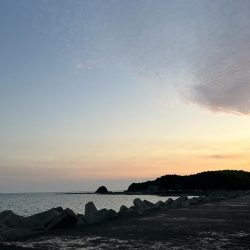 ガシラの合間にセイゴ