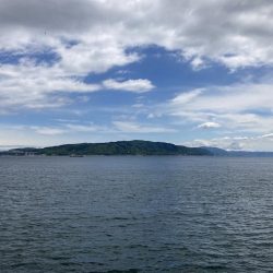 グレと大サバ狙い