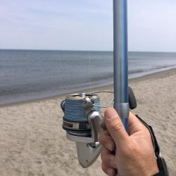 サーフからのキス