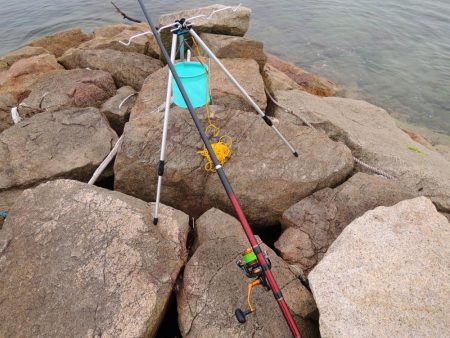 盛期のにキスは何処?