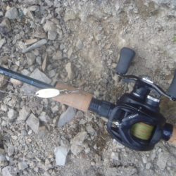 なまずとバス釣り