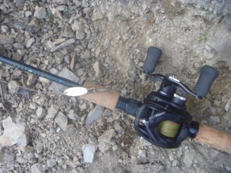 なまずとバス釣り