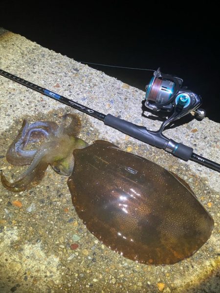 今季やっと3杯目のアオリ🦑GET!\(^o^)/