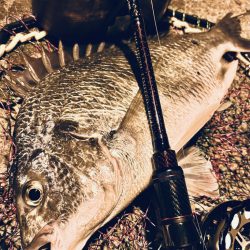 ヘチってきました