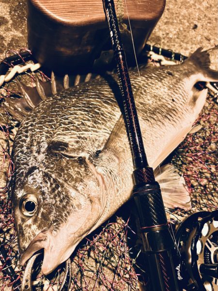 ヘチってきました