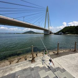 キス釣り(引き釣り)