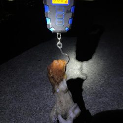 久々に釣れました