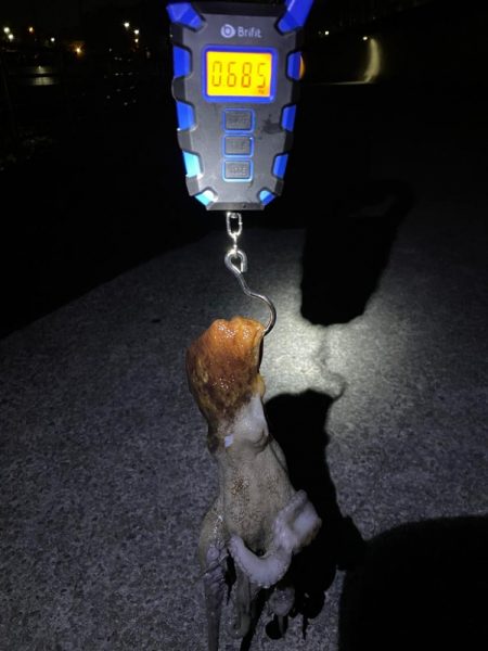 久々に釣れました