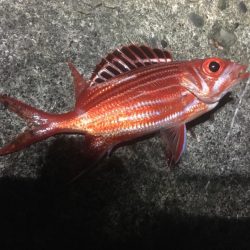 試行錯誤ヤエン