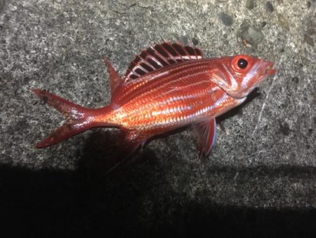 試行錯誤ヤエン