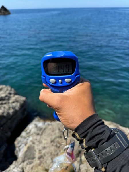 ちょこっとエギング