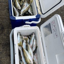 雨の中で入れ食いday *\(^o^)/*