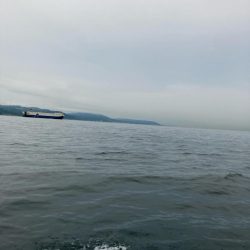 型が揃ってきました