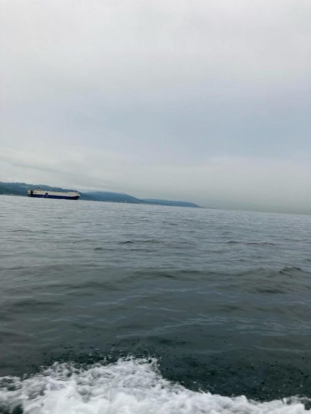 型が揃ってきました