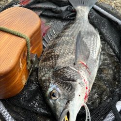 ヘチってきました