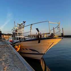 白イカ・アジ釣行