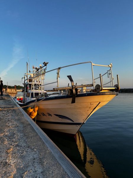 白イカ・アジ釣行