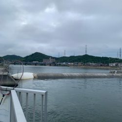 もう少しで大台