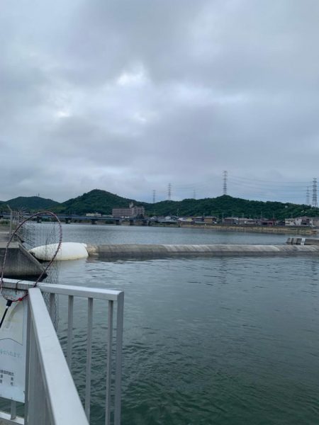 もう少しで大台