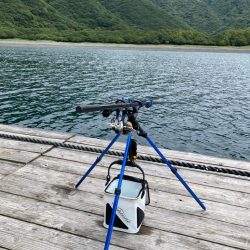 春アオリイカ狙って遠征