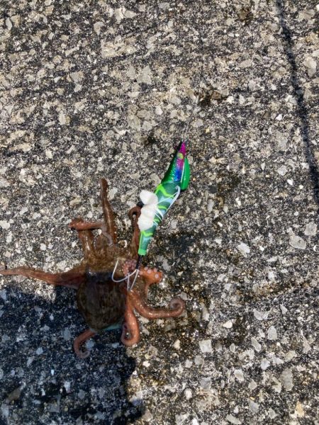 ⭐️擦られすぎ