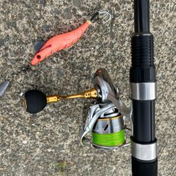 タコは気まぐれ　10