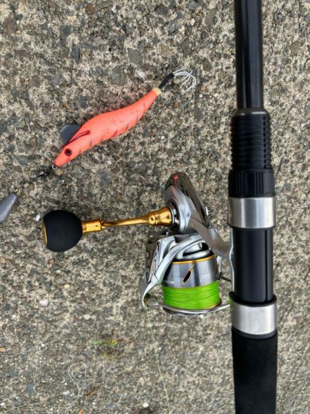 タコは気まぐれ　10