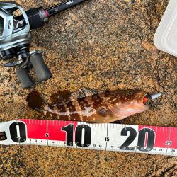 小浜ライトロック