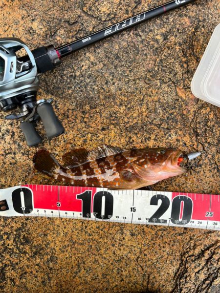 小浜ライトロック