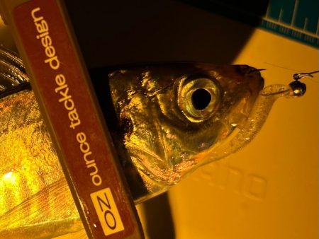 まだまだいけそうですね